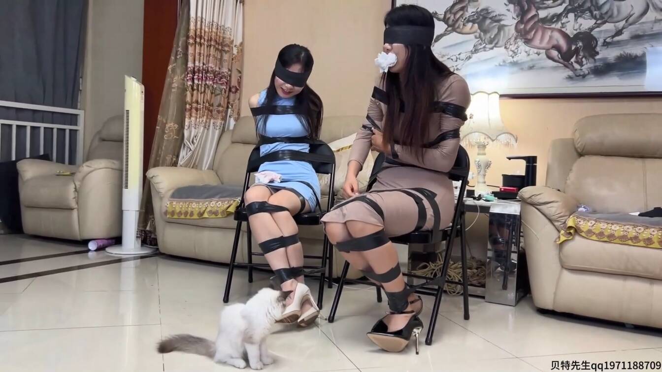 小驴原创，你们真好玩！