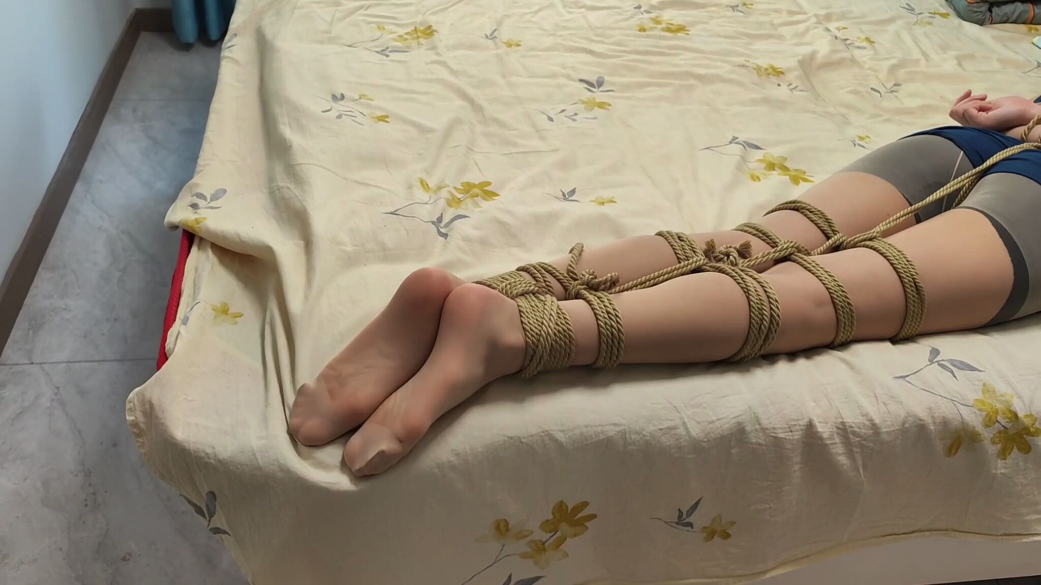 灰鸟原创，你的个子太高了！