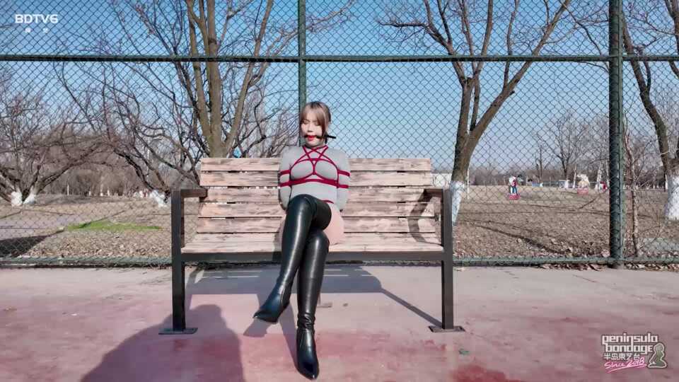 半岛束艺台，你是白领吗？