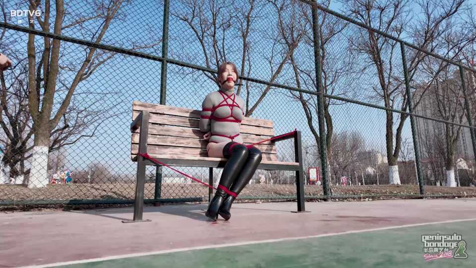 半岛束艺台，你是白领吗？