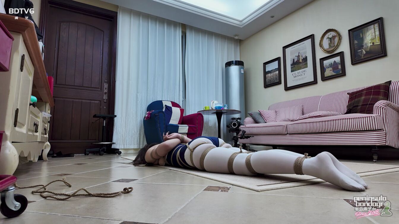 半岛束艺台，你是舞蹈生吗？