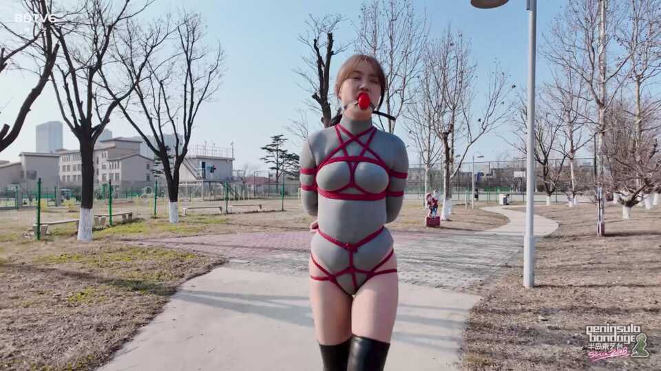 半岛束艺台，你是白领吗？