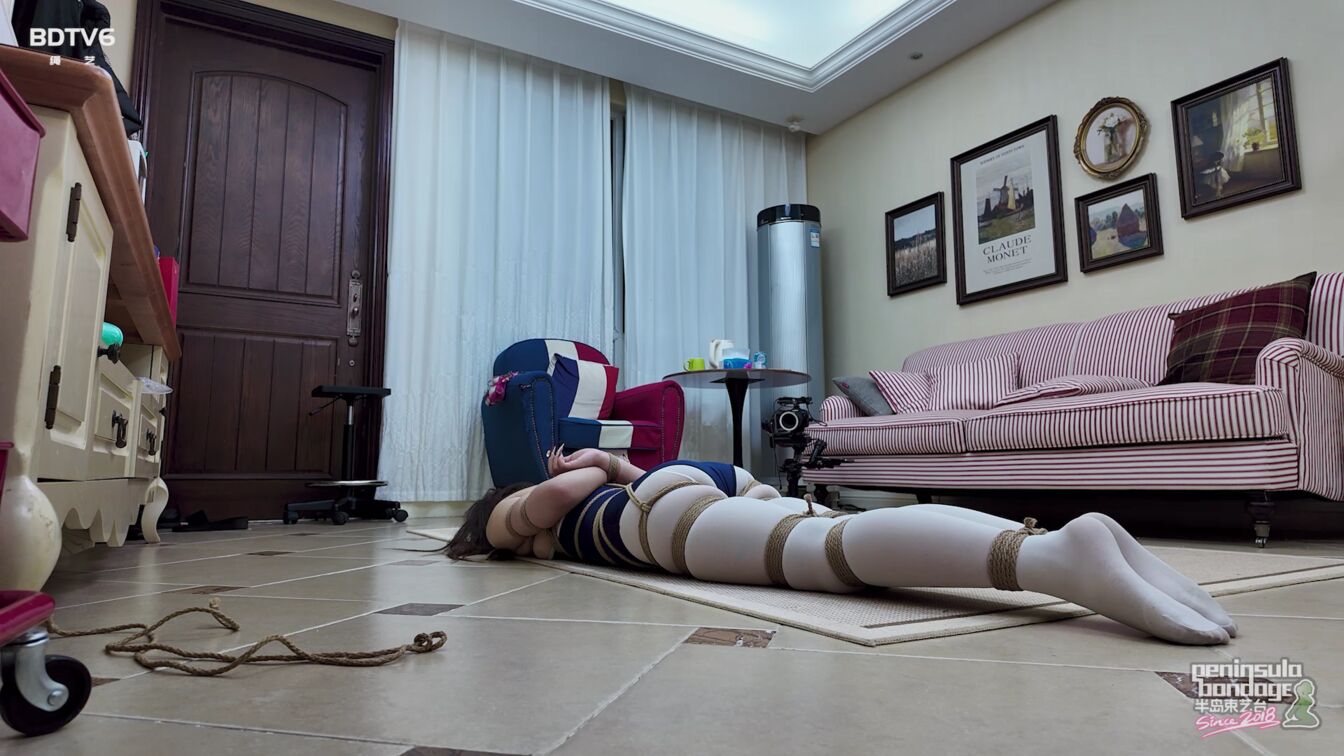 半岛束艺台，你是舞蹈生吗？