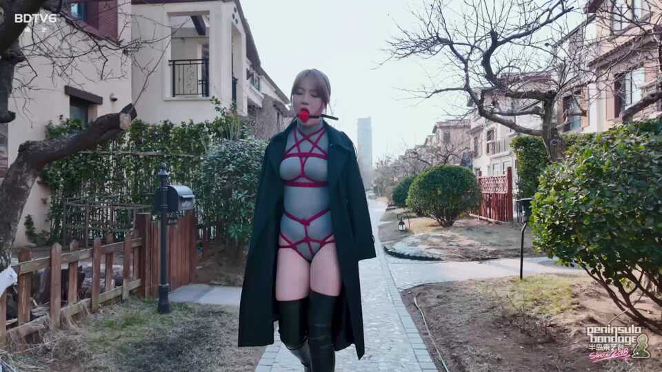 半岛束艺台，你是白领吗？